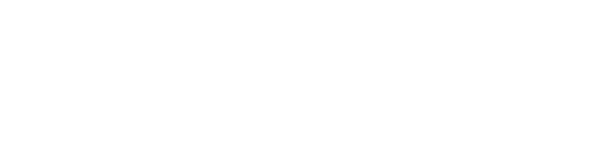 SF_Partners_Tech_PW